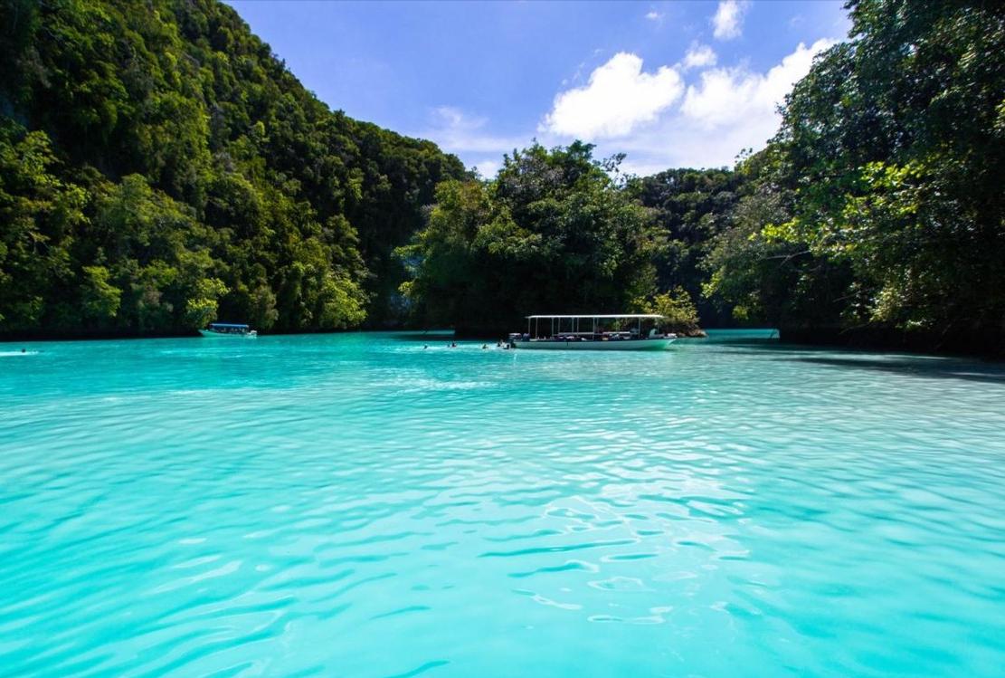 帕劳小岛真实情况,帕劳群岛哪个国家最好