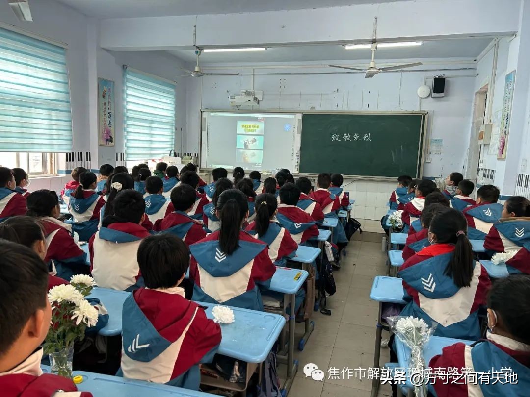 我们的节日清明主题活动情况汇报,我们的节日清明节活动开展情况