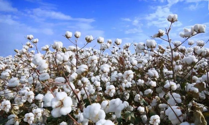 市值暴跌8000亿仓库堆积如山！爆火的耐克为何被国内消费者抛弃？