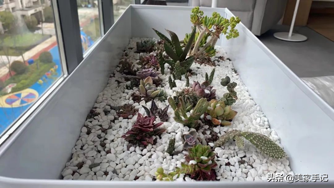 沙发不靠墙后面放柜子,沙发后柜子不靠墙