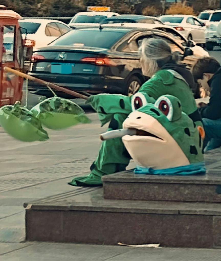 卖网红青蛙崽会被抓吗,网红卖崽青蛙被抓