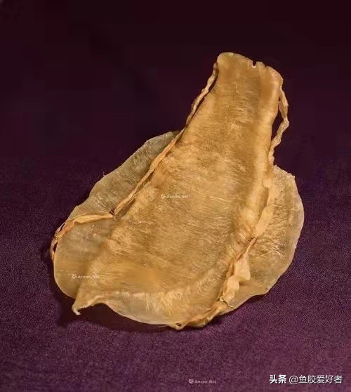 最全鱼胶品种大全,目前最好的鱼胶品种