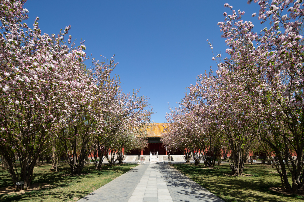 北京故宫游玩攻略下午几点入场,北京故宫应该怎么游览