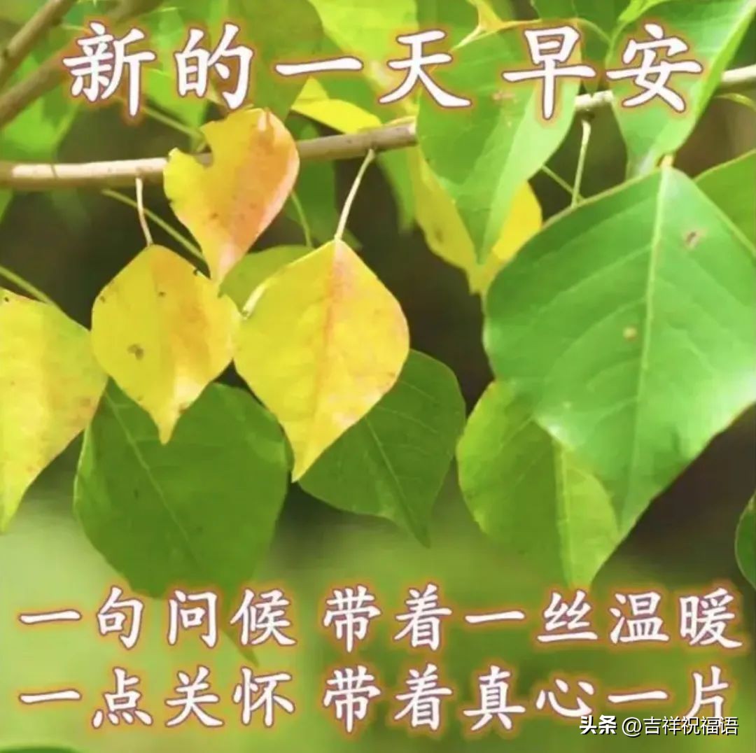 早上好温馨问候最漂亮表情包,每天换图片的早上好问候表情包