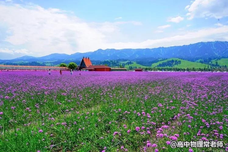 鐙簱鍏矾鐜枂鍗楀寳,鐙簱鍏矾淇￠┈娓哥枂