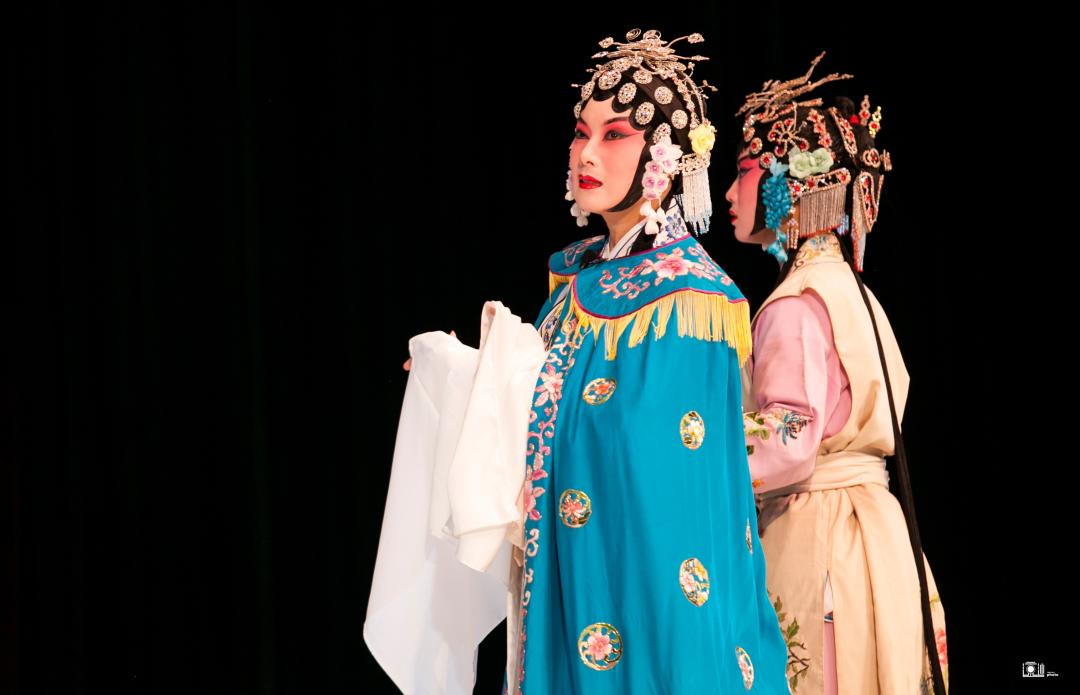 菏泽牡丹节赏花攻略,菏泽春日赏花攻略