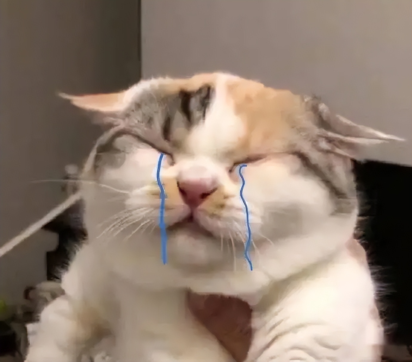 内耗严重的人格,内耗型人格和普通人格