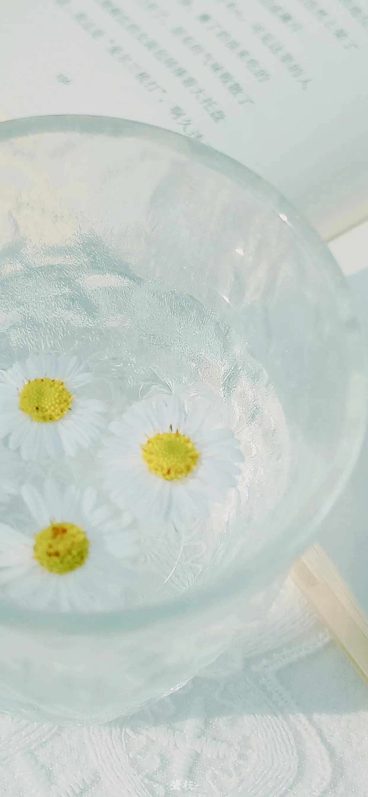 夏季清新凉快的壁纸高清,夏天一看就很凉爽的壁纸