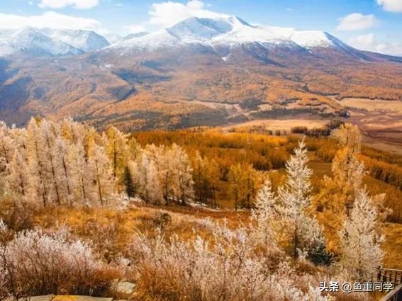 霜降寓意着天气逐渐变冷,今年霜降日是什么预兆
