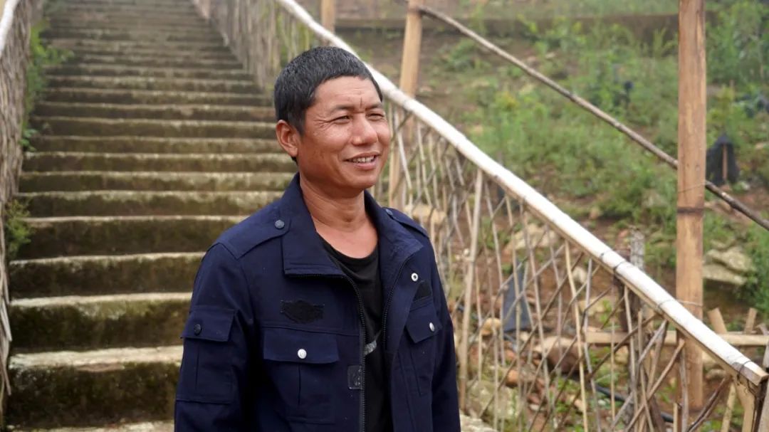 绿春乡村振兴,绿春乡村振兴工作