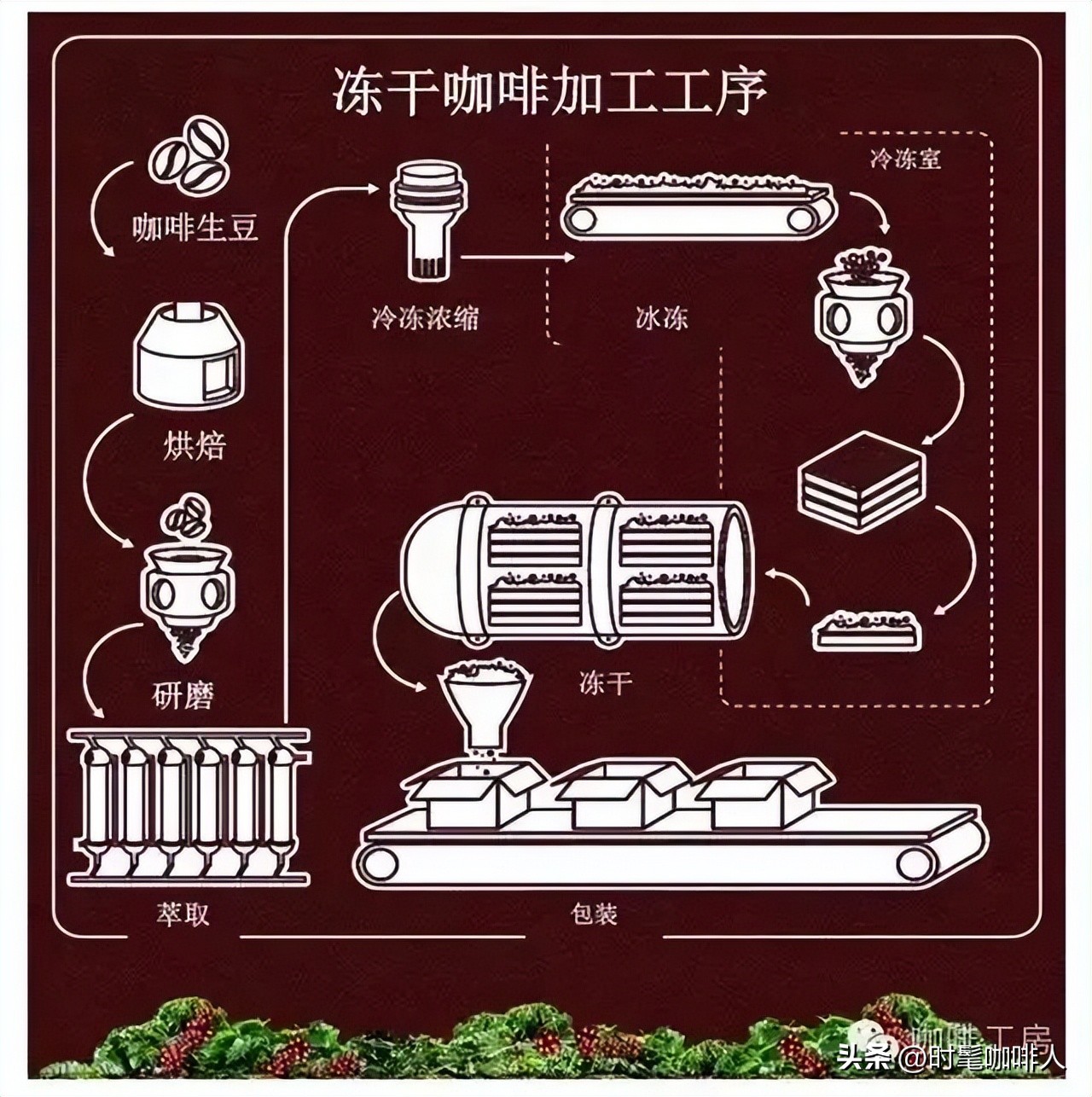喝速溶不能算“真正的喝咖啡”?