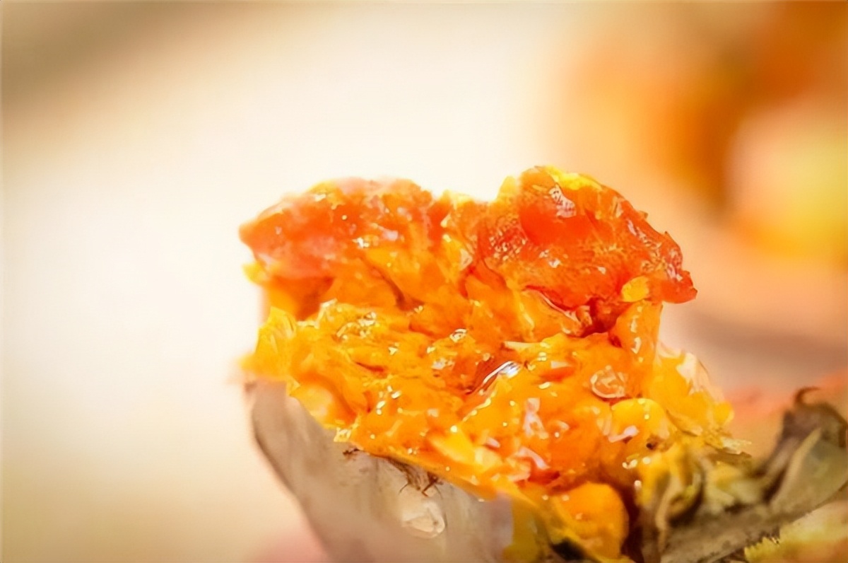 海蟹中什么蟹最好吃,现在吃海蟹好还是河蟹好