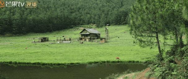 刘亦菲公开恋情后亮相,刘亦菲恋情网友爆料