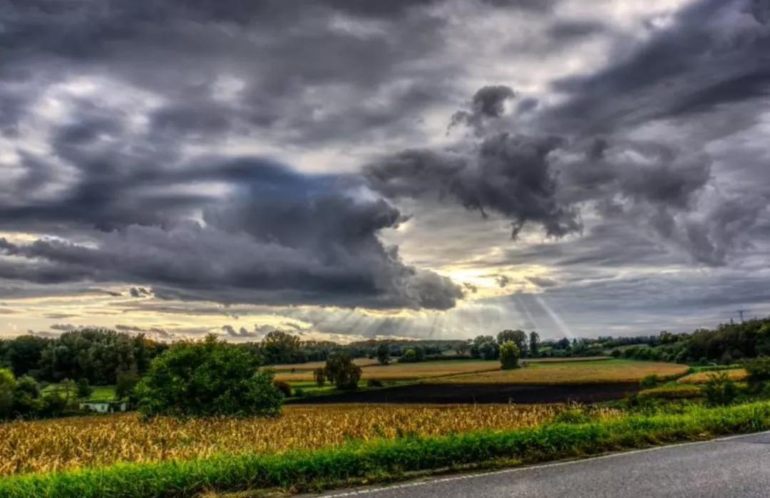 混动怎么解释,混动的解释