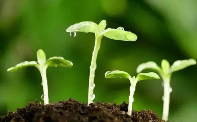 甲醇期货底层逻辑,期货分享