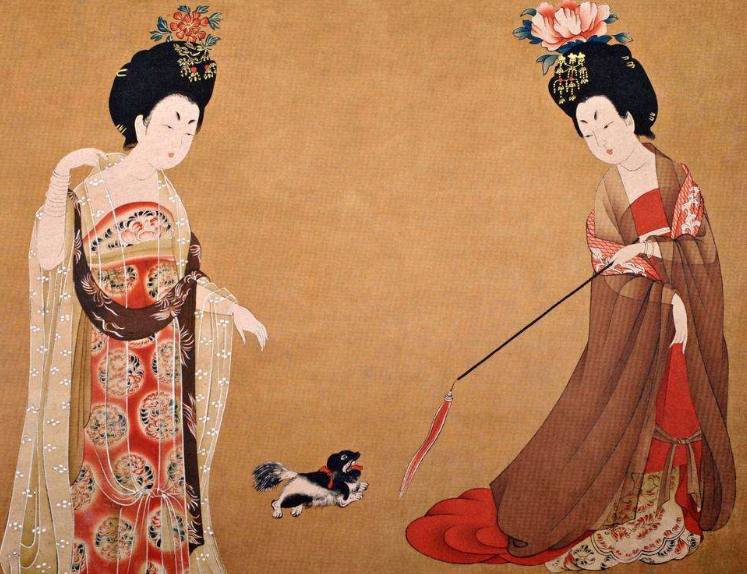 杂技女演员坠亡后续,杂技女演员坠亡事故后续