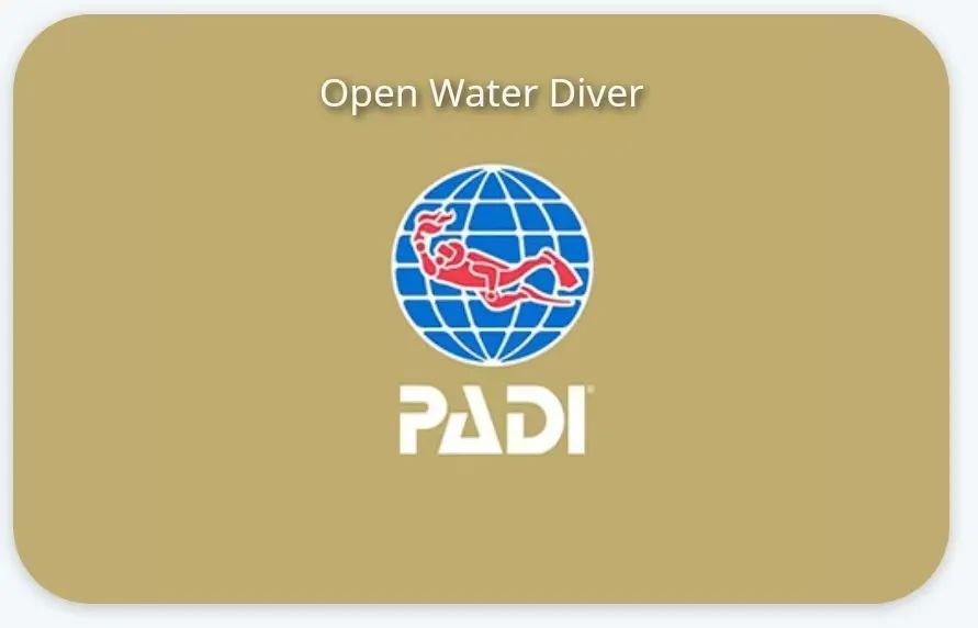 海陆空震撼炫酷视频,海陆空的全线飙战看得直呼过瘾