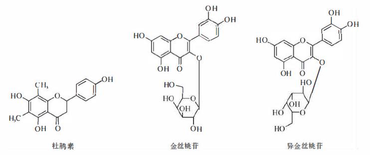 含黄酮类成分的药材有,陈皮的黄酮类成分作用