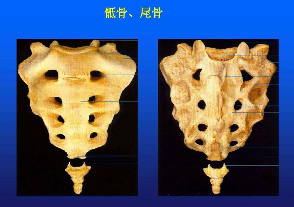 雪天滑倒摔屁股怎么缓解,雪天路滑掌握这些小妙招防摔跤