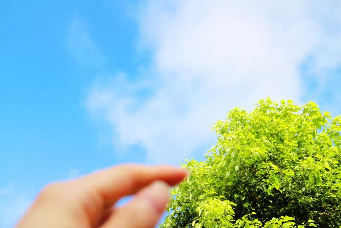 念头不通达会有什么后果,念头不通达气不顺