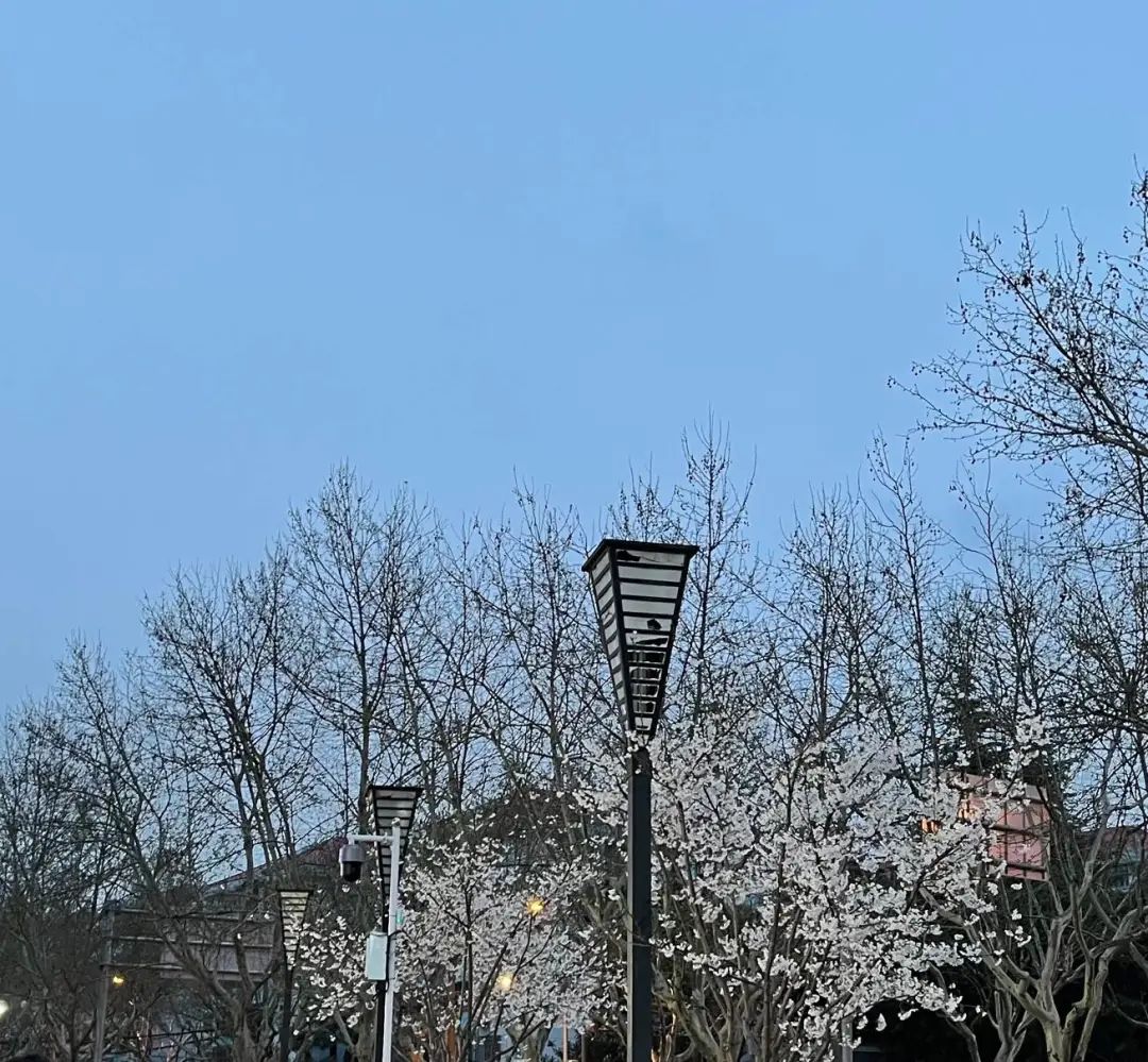 错过了一个秋天,错过了一个春秋