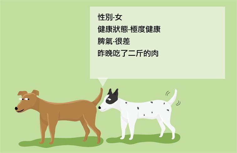 为什么大多数动物在交配前，都会闻闻对方的屁股？这样有何作用？