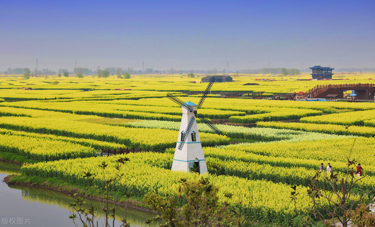 小学生清明节缅怀先人的句子,清明节是中华文化的传承