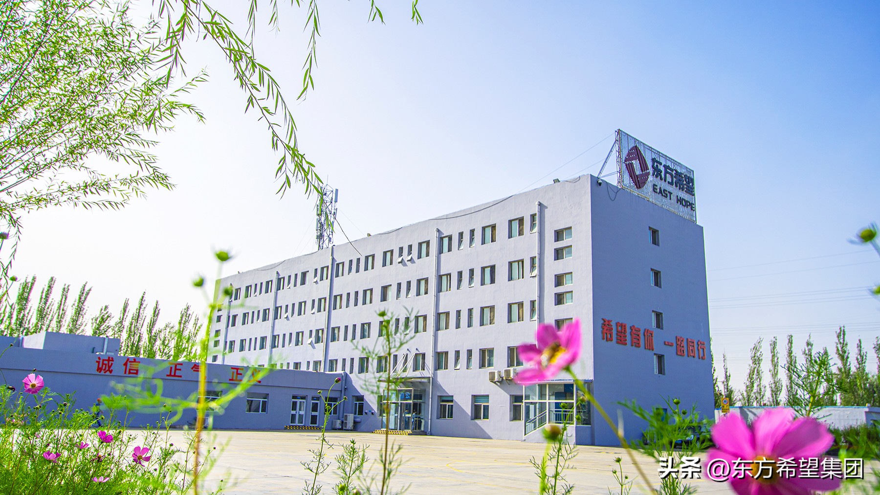 东方希望九原电石厂,东方希望工业硅项目脱硫脱硝中标