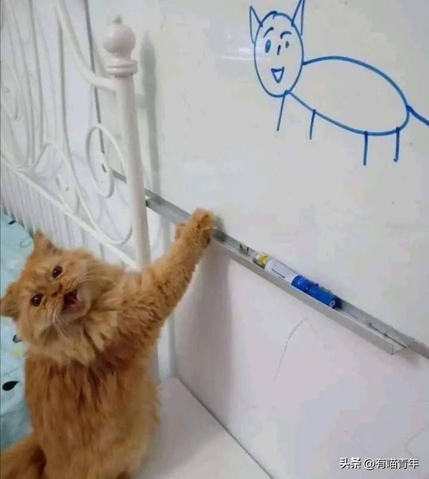 鑷粠鍏讳簡鐚氨鍐嶄篃娌℃湁涔拌繃琛ｆ湇,鑷粠鍏讳簡鐚氨娌＄粰鑷繁涔拌繃闆堕