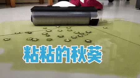 涔颁簡娲楀湴鏈哄氨鑳戒拱瀹㈠巺鍦版,鍦版涓婁篃鑳界敤鐨勬礂鍦版満