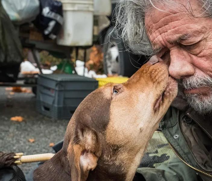 最不建议养的五种狗,这5种狗怎么感觉很少人养