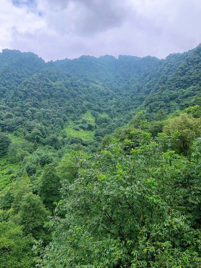 青城后山白云索道上山大概几分钟,青城后山游玩攻略大全