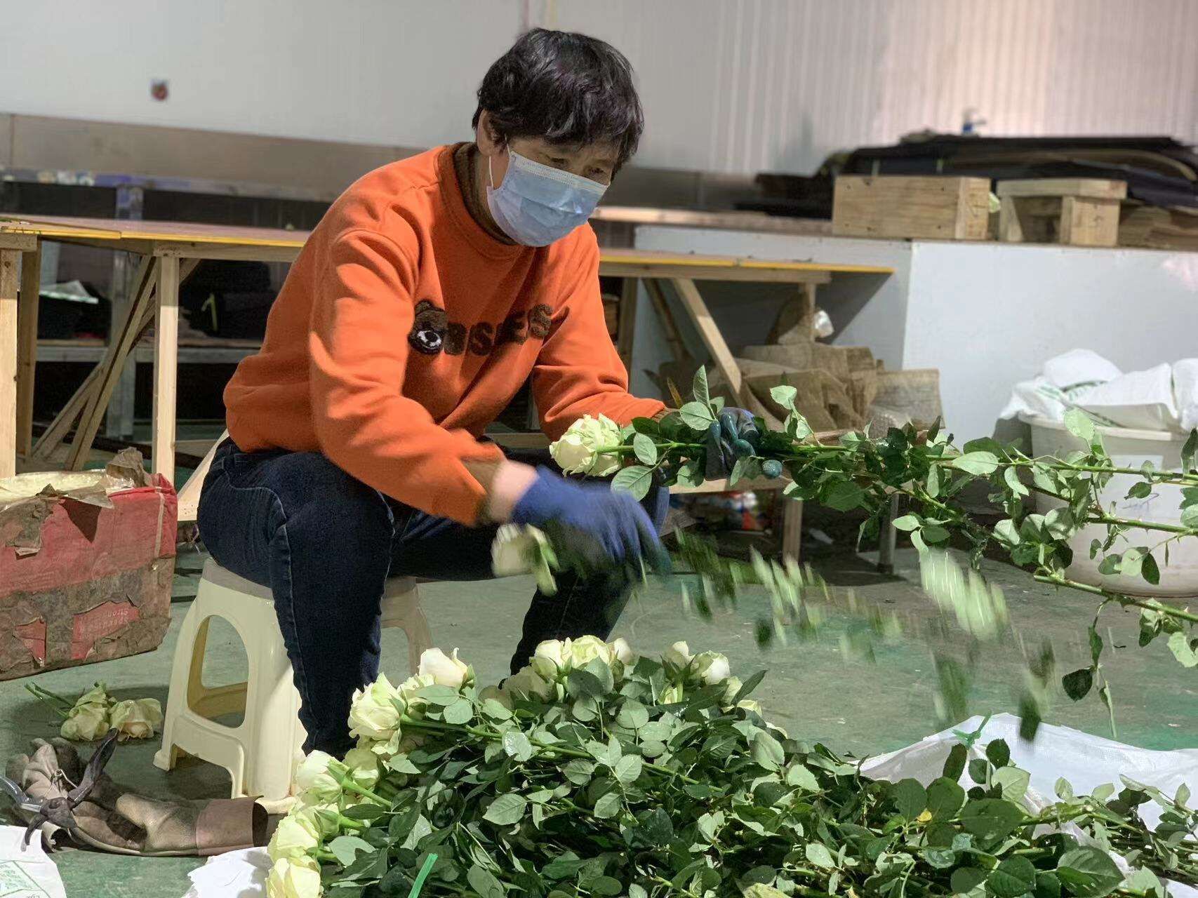 三八特刊|晋宁花农周玉莲:带领姐妹们一起做浪漫制造者