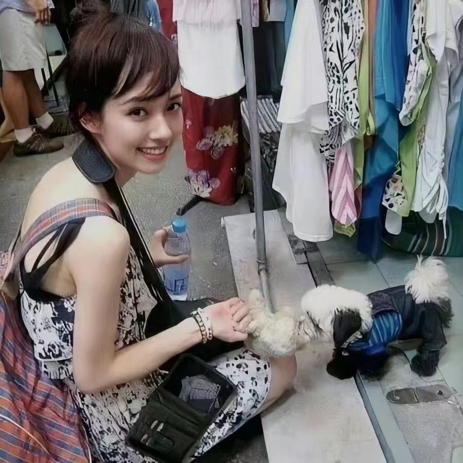 向佐跟郭碧婷的近况,向佐和郭碧婷现在什么关系