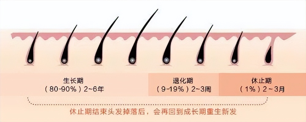 阳康后脱发吃什么药,阳康后脱发将近一年