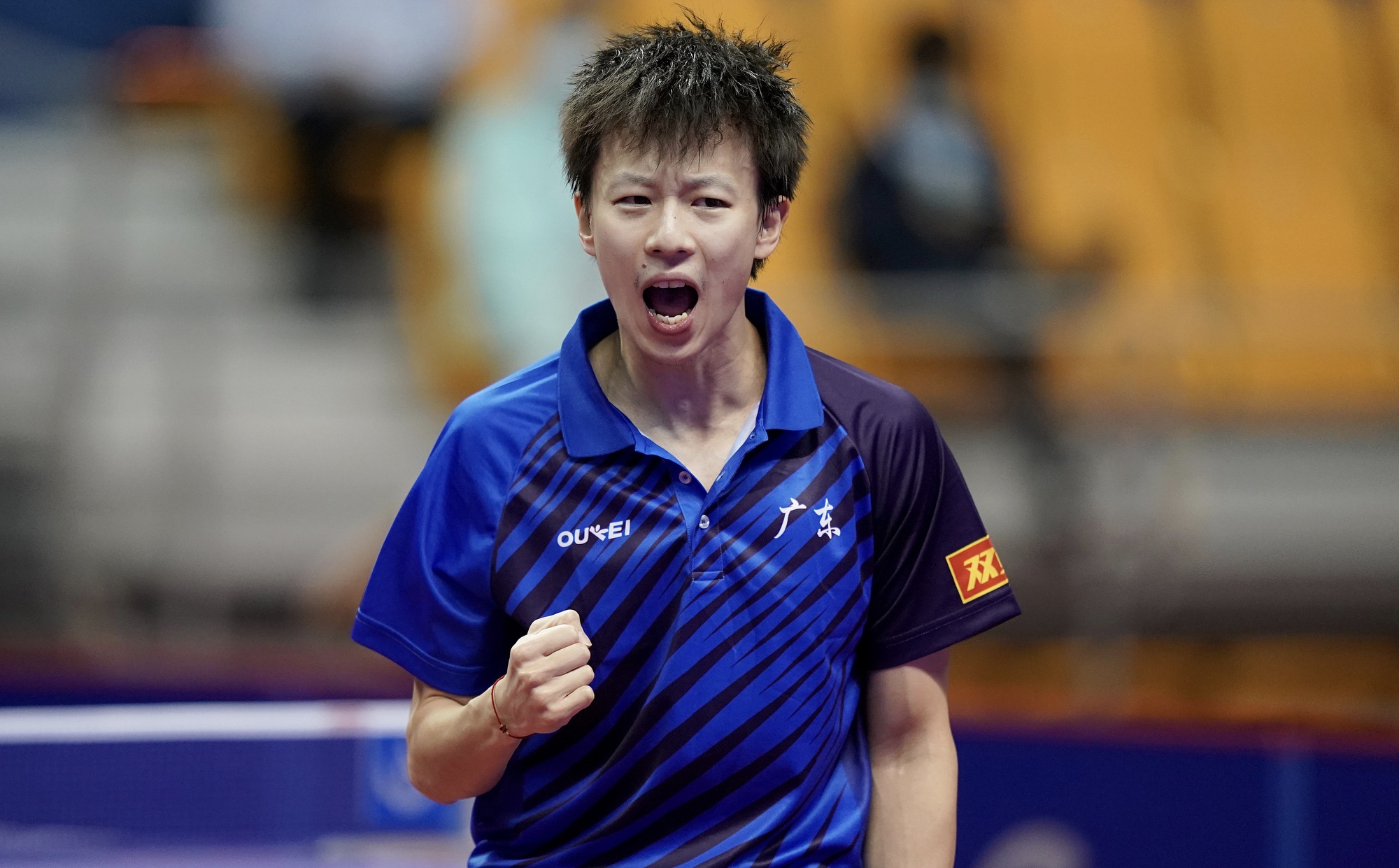 国乒世界冠军输了谁,国乒男团击败德国队夺冠刘国梁