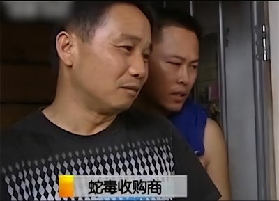 中国蛇毒女王是谁,广西蛇毒王事件