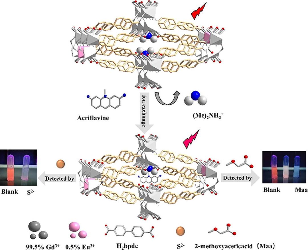 闫冰教授课题组在*土稀**发光MOF材料荧光检测方面的研究进展