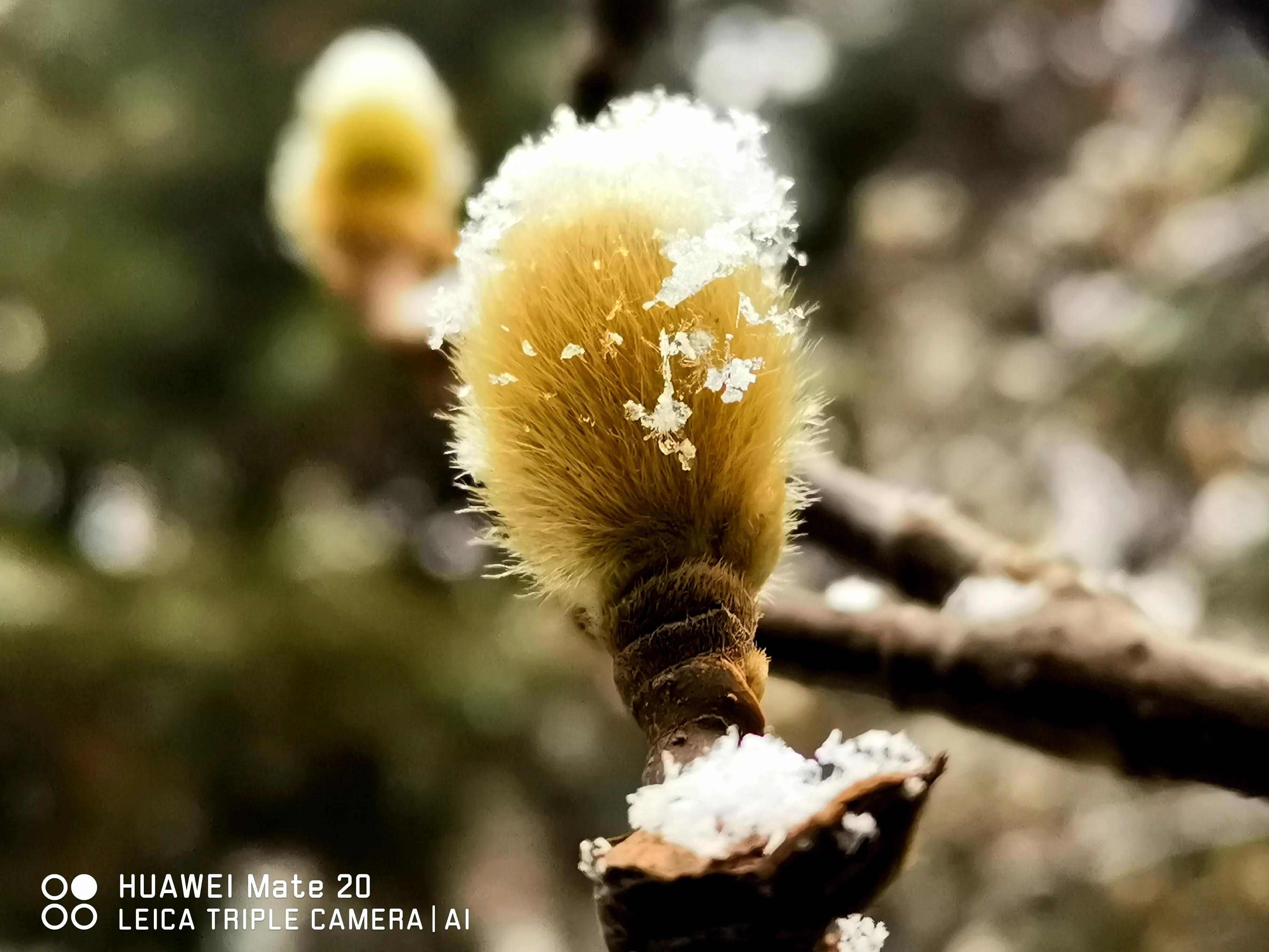 春节随笔高中800字,写春节的随笔50字