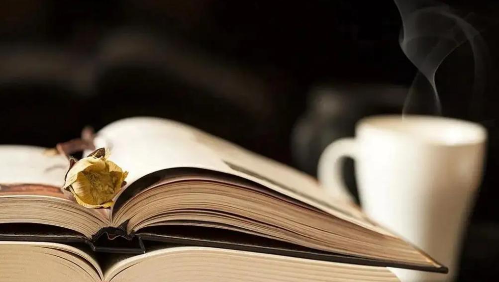 读怎样的书能提高读书效率,读书怎样读好一本书