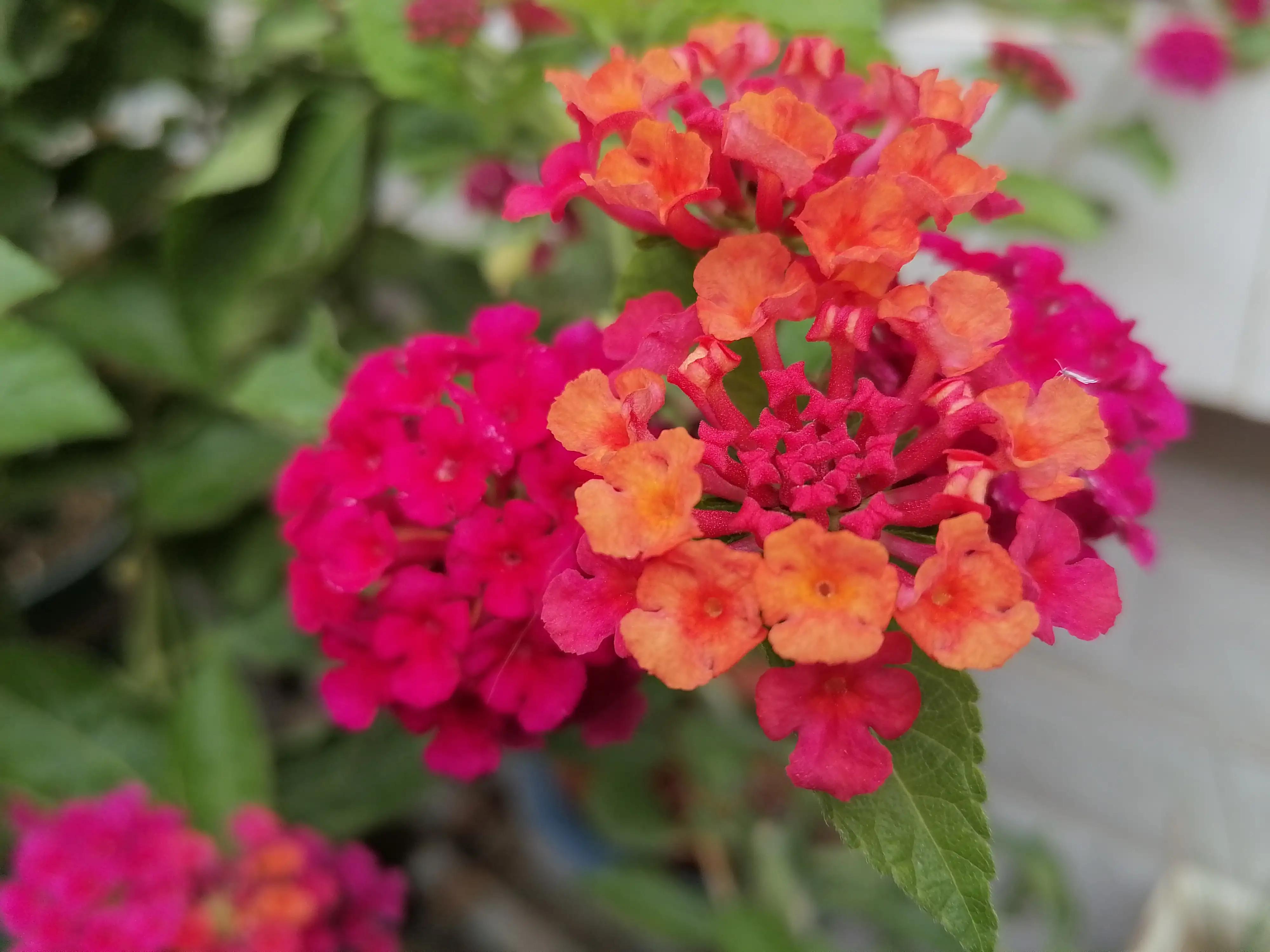 网购超过七天不给退货怎么办,拼多多的货超过七天还能退货吗