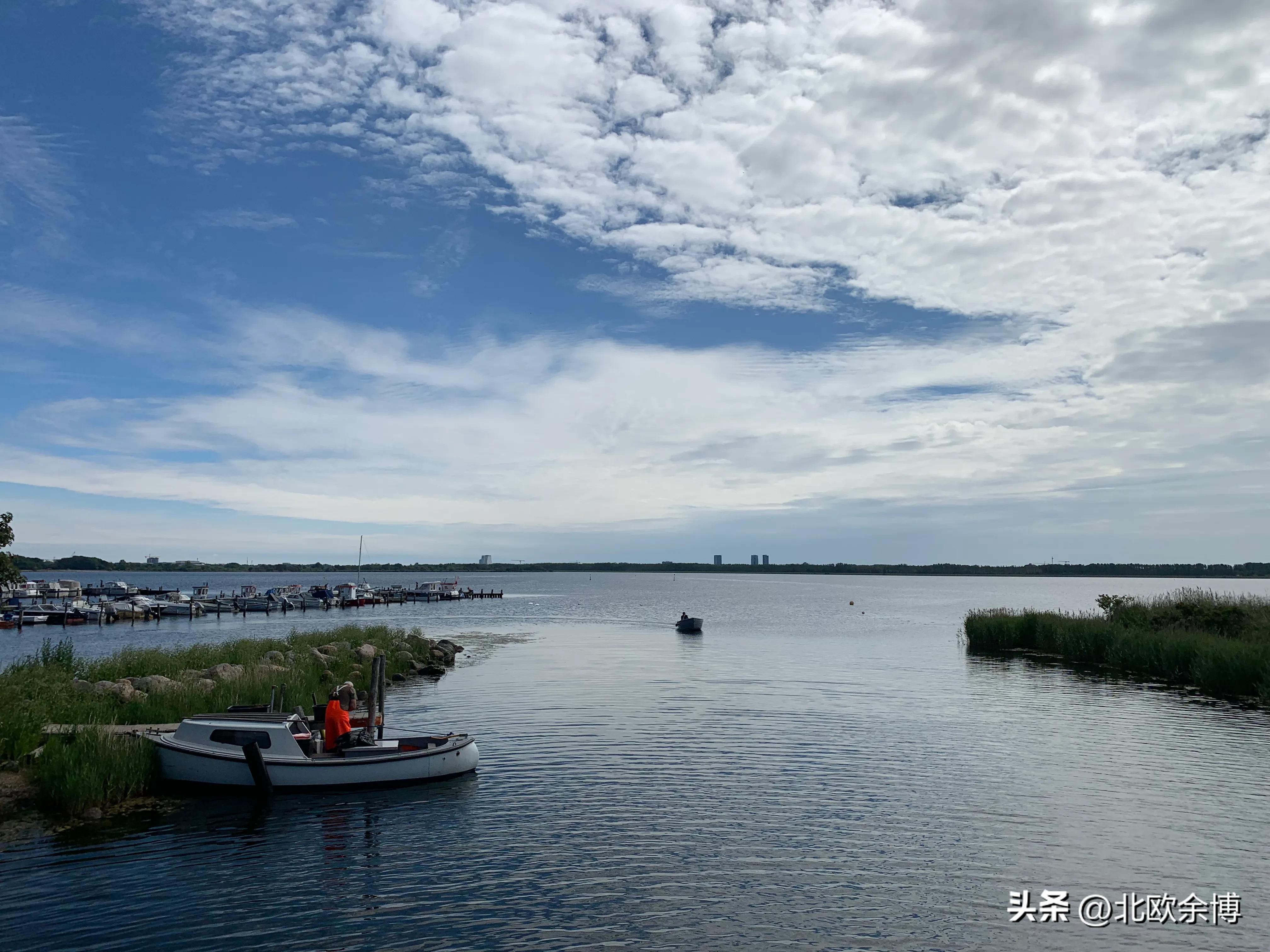 丹麦有机食品多少丹麦人能接受,丹麦人吃什么零食