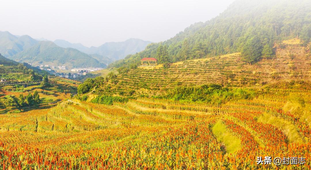 百村争鸣十大系列文化艺术村,浙江100个文化艺术村