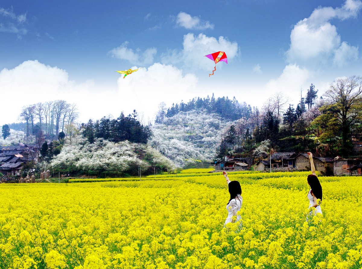 多彩贵州最美花海,多彩贵州最美的风景