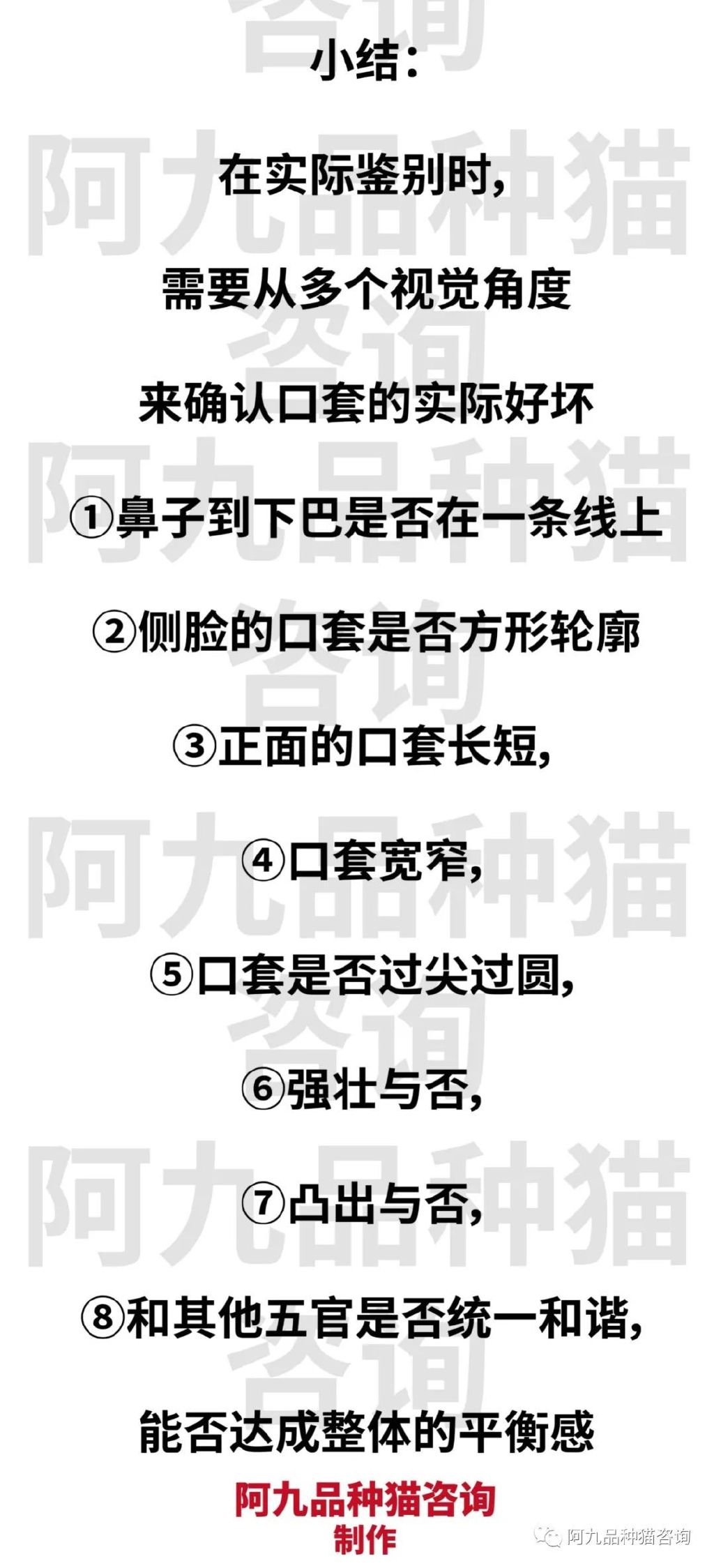 缅因猫品种标准图解，缅因猫怎么分辨好坏，缅因猫怎么分辨颜色