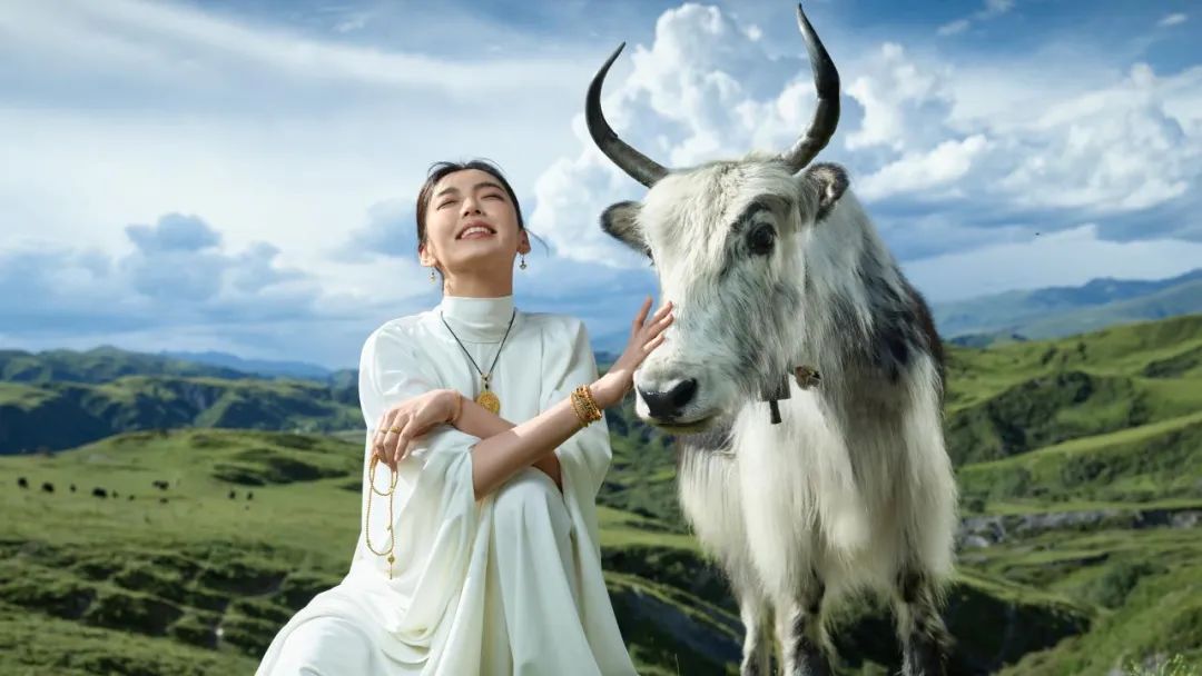 周大福黄绍基简历,周大福黄绍基个人简历