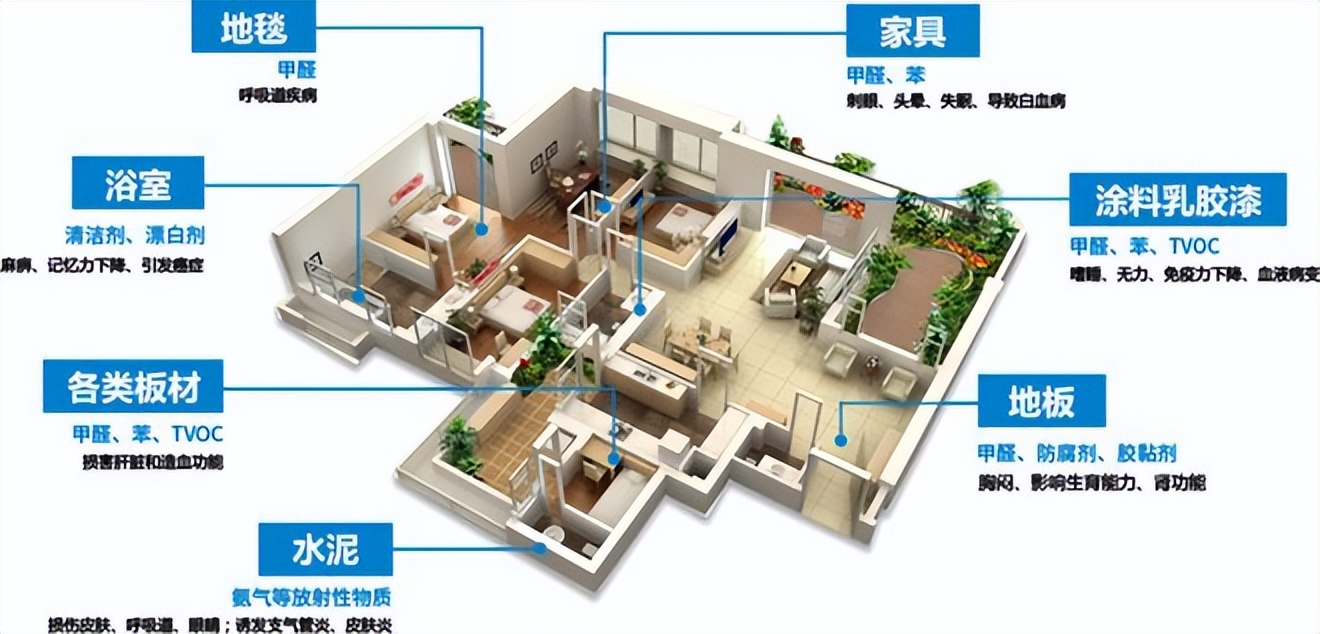 洋葱去除甲醛最有效的方法,甲醛去除方法清华大学