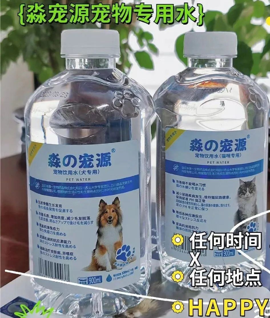 猫咪中暑了怎么办,猫咪中暑怎么快速缓解