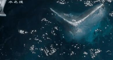 时长超3小时阿凡达2值不值得看 (阿凡达二观看注意事项)