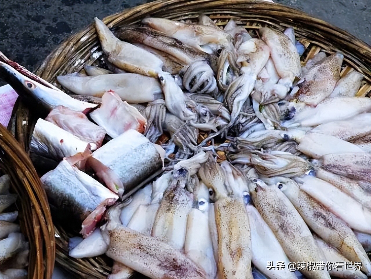 海岸线：邂逅*江阳**——感受这座慢节奏小城文化底蕴感悟人文之美